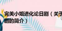 完美小姐进化论日剧(关于完美小姐进化论日剧的简介)