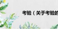 考验(关于考验的简介)