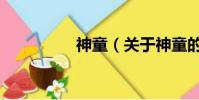 神童(关于神童的简介)
