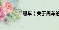 黑车(关于黑车的简介)