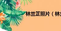 林兰芷照片(林兰芷)
