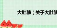 大肚腩(关于大肚腩的简介)