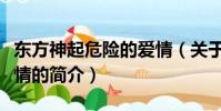 东方神起危险的爱情(关于东方神起危险的爱情的简介)