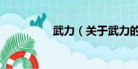 武力(关于武力的简介)