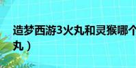 造梦西游3火丸和灵猴哪个好(造梦西游3火丸)