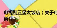 电视剧五星大饭店(关于电视剧五星大饭店的简介)