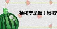 杨祐宁是谁(杨祐宁当爸)