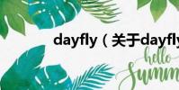 dayfly(关于dayfly的简介)