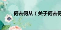 何去何从(关于何去何从的简介)