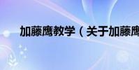 加藤鹰教学(关于加藤鹰教学的简介)