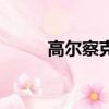 高尔察克（关于高尔察克的简介）