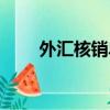 外汇核销单号码怎么填（外汇核销）
