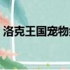 洛克王国宠物组别大全（洛克王国宠物组别）