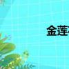 金莲花歌词（叹金莲歌词）