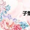 子集是什么意思（子集）
