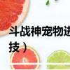 斗战神宠物进化技怎么升级（斗战神宠物进化技）