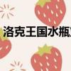 洛克王国水瓶宝宝技能（洛克王国水瓶宝宝）