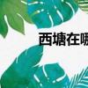 西塘在哪里在哪个市（西塘在哪）