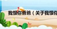 我恨你爸爸(关于我恨你爸爸的简介)
