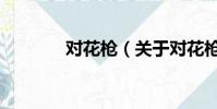 对花枪(关于对花枪的简介)