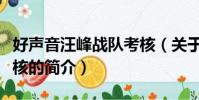 好声音汪峰战队考核(关于好声音汪峰战队考核的简介)