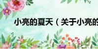 小亮的夏天(关于小亮的夏天的简介)