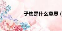子集是什么意思(子集)