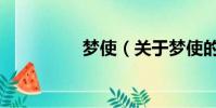 梦使(关于梦使的简介)