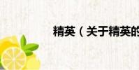 精英(关于精英的简介)