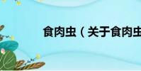 食肉虫(关于食肉虫的简介)