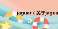 jaguar(关于jaguar的简介)
