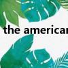 the american（关于the american的简介）