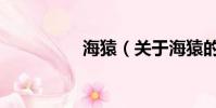 海猿(关于海猿的简介)