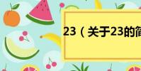 23(关于23的简介)