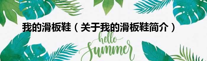 我的滑板鞋（关于我的滑板鞋简介）