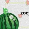 zoey（关于zoey的简介）