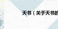天书(关于天书的简介)