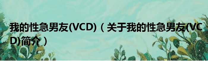 我的性急男友(VCD)（关于我的性
