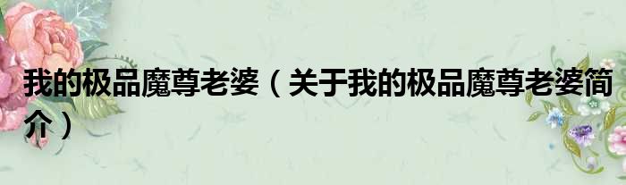 我的极品魔尊老婆（关于我的极品魔尊