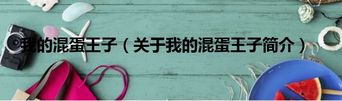 我的混蛋王子（关于我的混蛋王子简介