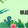 极品执事txt（极品执事）