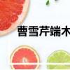 曹雪芹端木蕻良txt（曹雪芹端木蕻良）