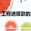 工程进度款的支付有哪些规定（工程进度款）