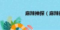 麻辣神探(麻辣神探)