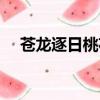 苍龙逐日桃花岛秘籍（苍龙逐日桃花岛）