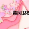 黄冈卫校录取分数线（黄冈卫校）