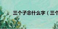 三个子念什么字(三个子念什么)