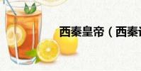 西秦皇帝(西秦论坛)