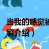 当我的感觉被你了解（关于当我的感觉被你了解介绍）