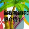 当我看到你的第一眼（关于当我看到你的第一眼介绍）